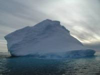 P2060045