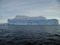 P2060074