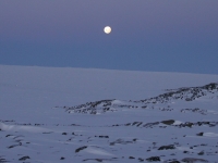 P7040040