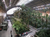 Interior plaza in old Atocha train station - Madrid Spain