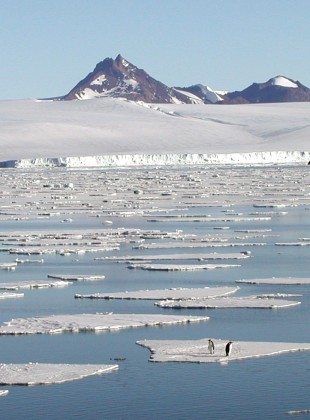 Mawson Station Antarctica